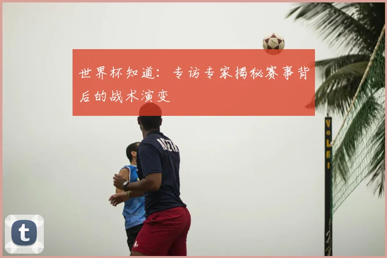 世界杯知道：专访专家揭秘赛事背后的战术演变