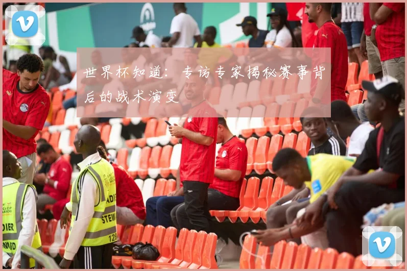 世界杯知道：专访专家揭秘赛事背后的战术演变