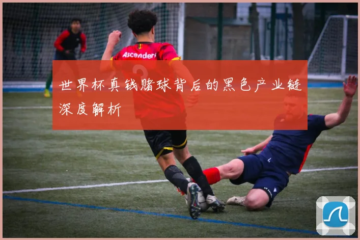 世界杯真钱赌球背后的黑色产业链深度解析
