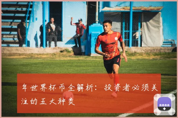 年世界杯币全解析:投资者必须关注的五大种类