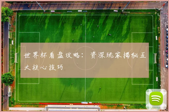 世界杯看盘攻略：资深玩家揭秘五大核心技巧