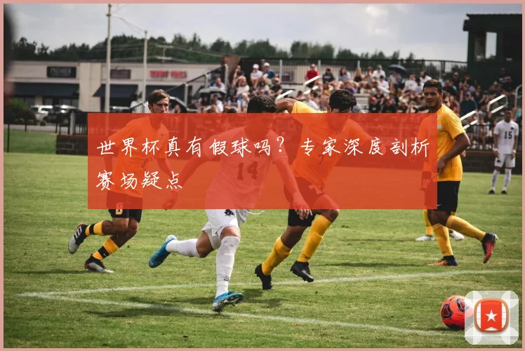 世界杯真有假球吗？专家深度剖析赛场疑点