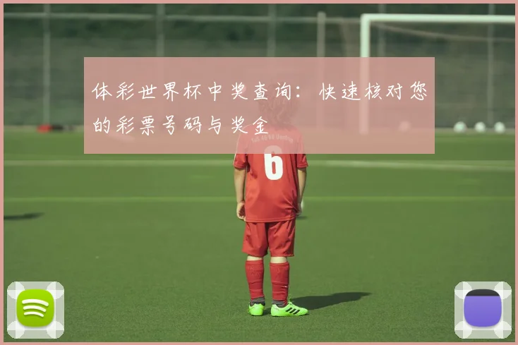 体彩世界杯中奖查询：快速核对您的彩票号码与奖金