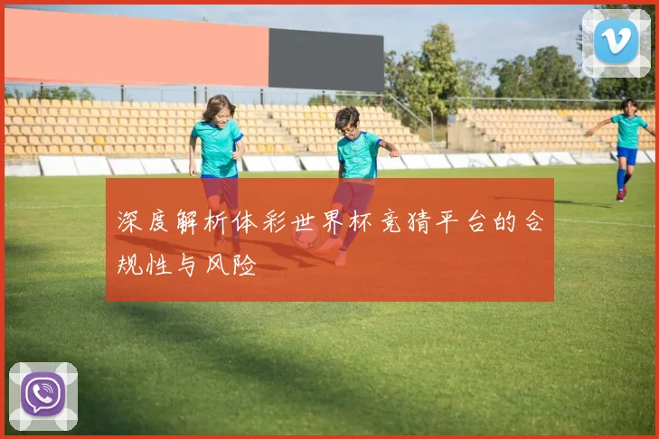 深度解析体彩世界杯竞猜平台的合规性与风险