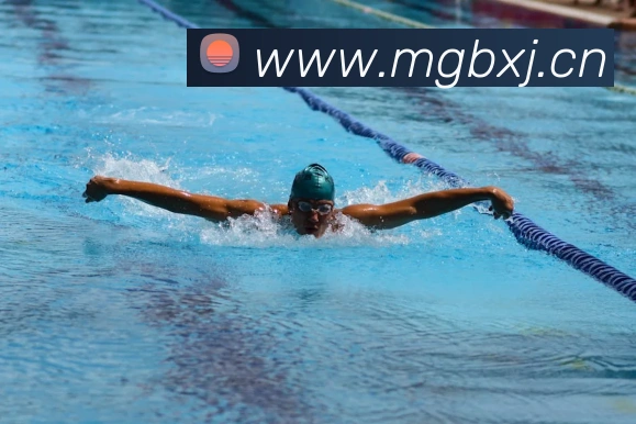 mk体育在线官网首页平台生态图